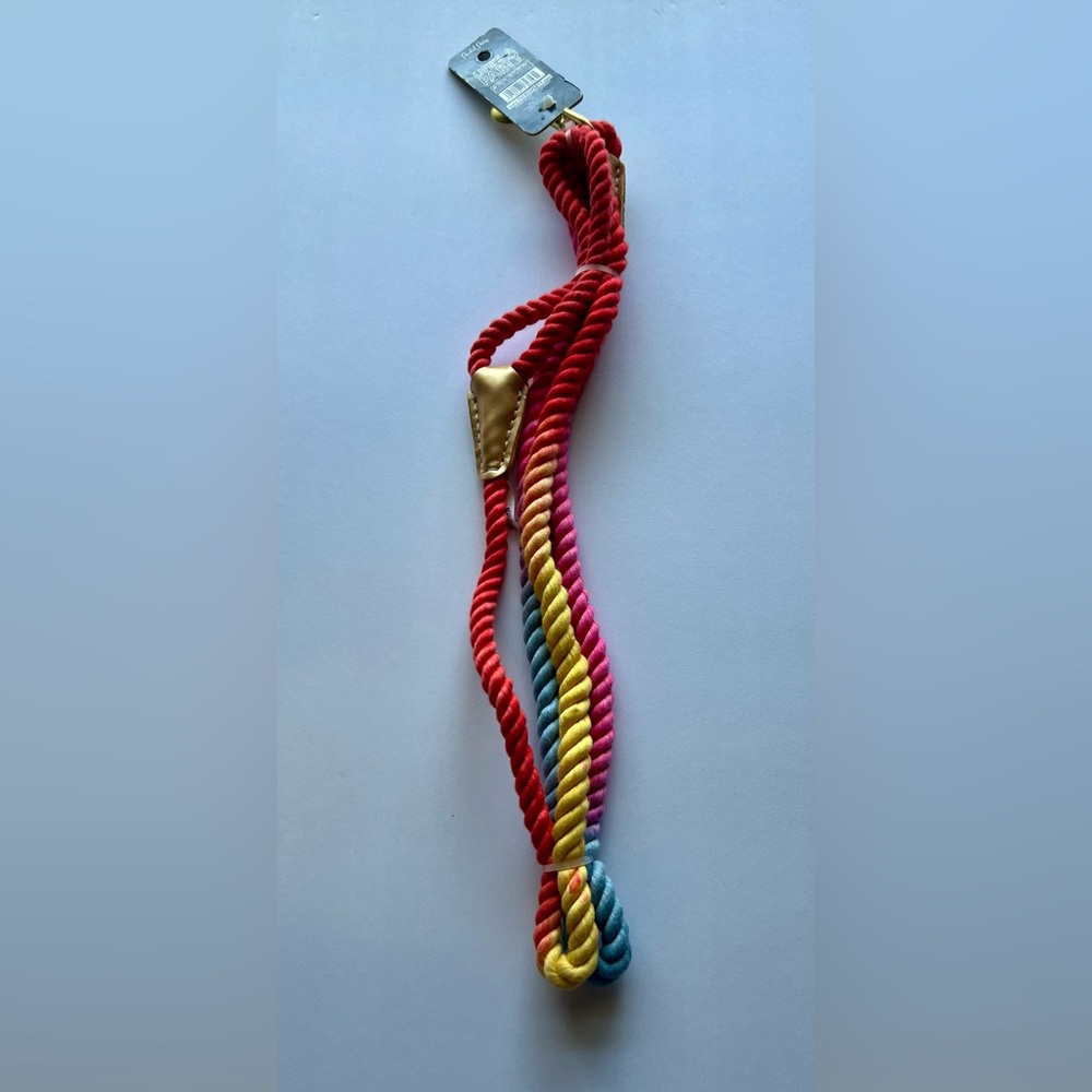 DOG Packed Party Gold and Blue Pet Leash. 6 feet.  Gold buckle.